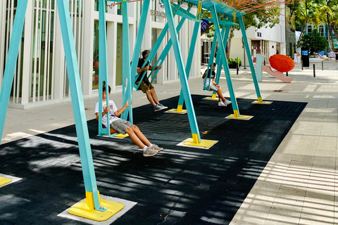 Les 3 quartiers emblématiques de Miami en 3,5h - en français