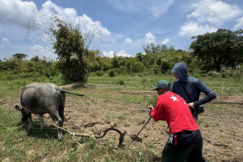 El Nido, Sibaltan: Local Organic Farm Tour & Product Tasting Farm Tour: 2 to 5