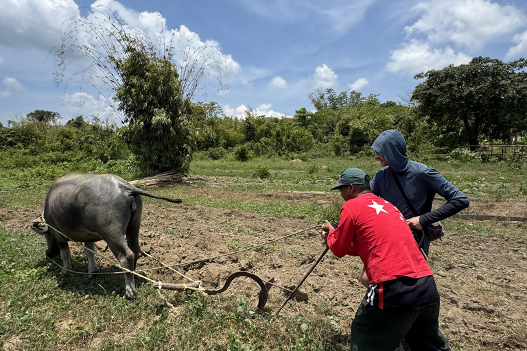 El Nido, Sibaltan: Local Organic Farm Tour & Product Tasting Farm Tour: 2 to 5