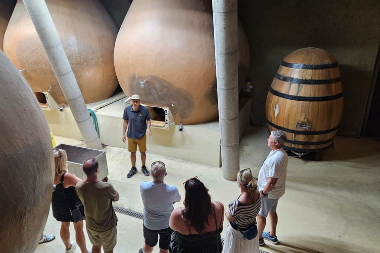 Private Casablanca Wine Valley: 2 Boutique Wineries & Lunch