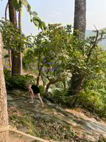 Tour di mezza giornata a cascata appiccicosa con auto privata - Housity