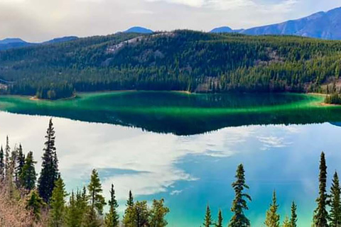 From Skagway: Wild Adventure Yukon Day Trip with BBQ Lunch