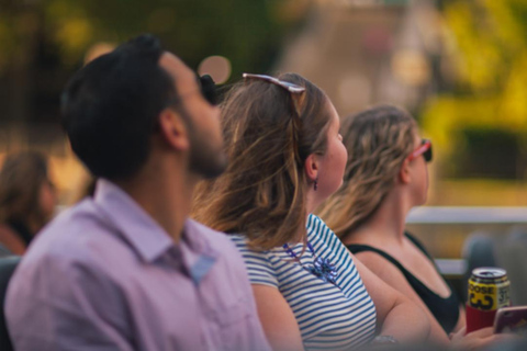 Chicago: Seadog Speedboat Fireworks Cruise on Lake Michigan