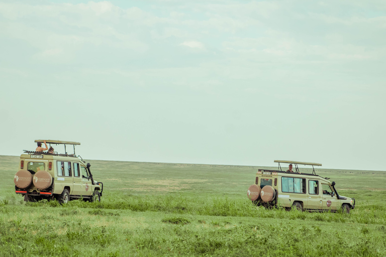 Zanzibar: 4-Day Mid-Range Safari Special for Honeymooners