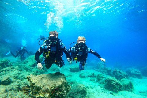 Zakynthos: Scuba Diving Experience with Underwater Photos Double dive discover scuba diving course