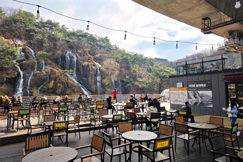 Seoul: DMZ Tour with Banpo Bridge Sunset & waterfall Café