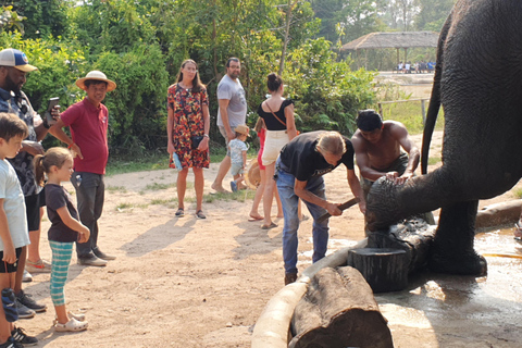 Siem Reap: Small Group Tour of Kulen Elephant Forest