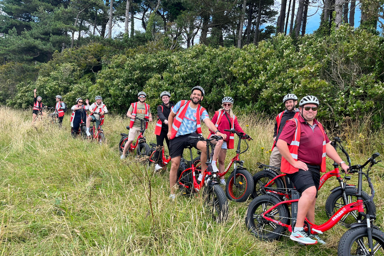 Howth: Panoramic e-Bike Tour