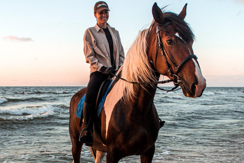 Marsa Alam: Passeio a cavalo pelo mar e pelo deserto