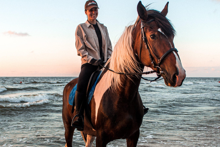 Marsa Alam : Randonnée à cheval dans le désert et la mer