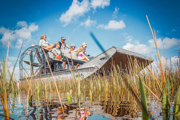 Miami: tour in airboat e spettacolo faunistico all'Everglades National Park