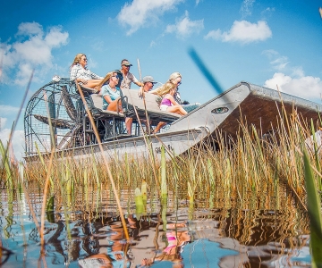 マイアミ：エバーグレーズ国立公園エアボート ツアー & 野生動物ショー