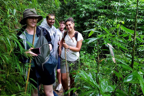 Chiang Mai: 2-Days Jungle Trek, Waterfalls and Karen Village