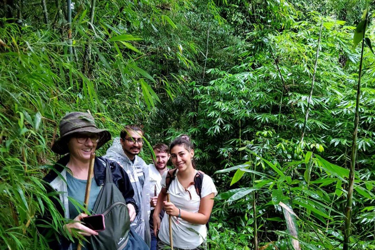 Chiang Mai: 2-Days Jungle Trek, Waterfalls and Karen Village