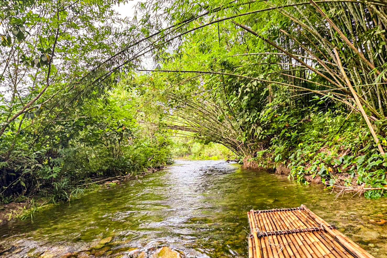 Phuket: Bamboo Rafting, ATV Ride, & Turtle Center Tour
