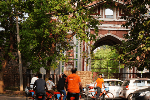 南德里遗产、艺术与花园自行车之旅私人导游服务