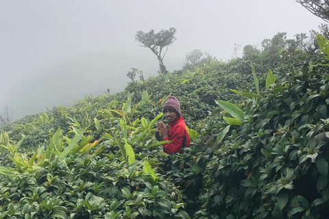 Kandy: escursione di 2 giorni sul monte Knuckles e tour del villaggioKandy: escursione di 2 giorni sul monte Knuckles e tour dei villaggi
