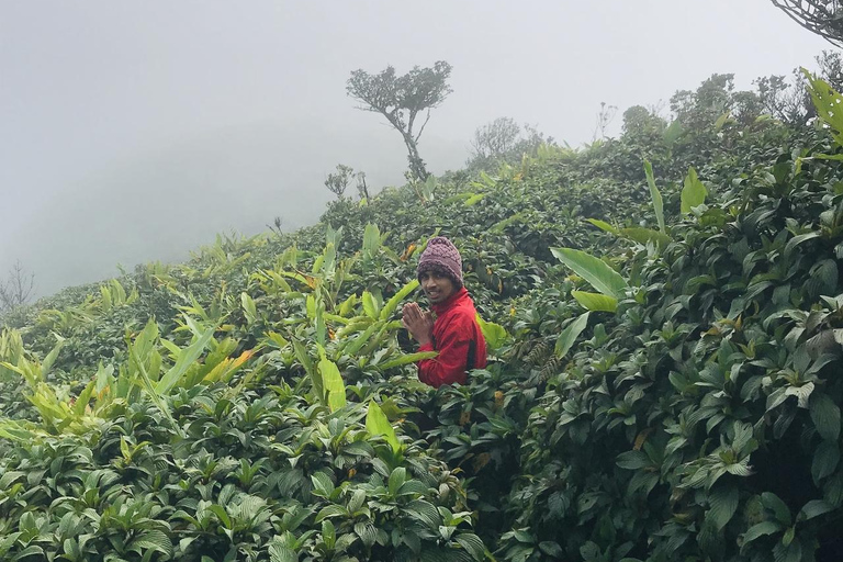 Kandy: escursione di 2 giorni sul monte Knuckles e tour del villaggioKandy: escursione di 2 giorni sul monte Knuckles e tour dei villaggi