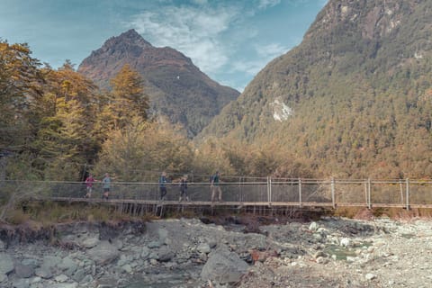 Queenstown: Routeburn Track Guided Full-Day Walk or Half Day - Image 2
