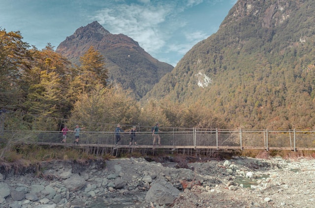 Queenstown: Routeburn Track Guided Full-Day Walk or Half Day