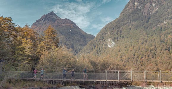 Queenstown: Routeburn Track Guided Hike - Full or Half Day