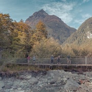 Queenstown: Routeburn Track Guided Full-Day Walk or Half Day