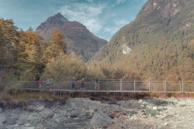 Queenstown: Geführte Ganztages- oder Halbtageswanderung auf dem Routeburn TrackRouteburn Track – geführter Naturrundgang – halbtägig