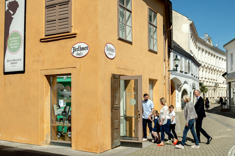 Beethovenhaus Baden, Entrance Ticket