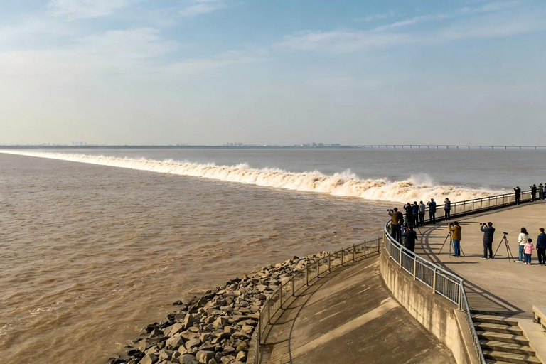Hangzhou Qiantang River Tidal Bore Tour Yanguan — The Classic Single-Line Tide