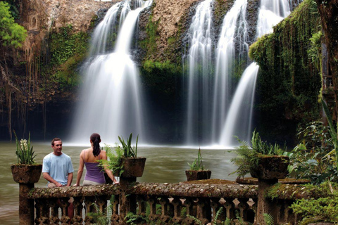 Parque Paronella: Tour nocturno y diurno con vida salvaje y selva tropical