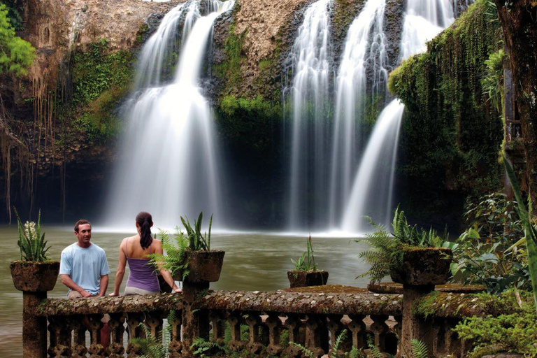 Parque Paronella: Tour nocturno y diurno con vida salvaje y selva tropical