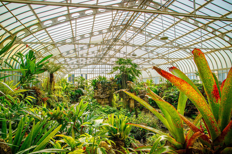 São Paulo Botanical Garden Private Guided Tour & Transport 3-hour: Botanical Garden Tour & Transport
