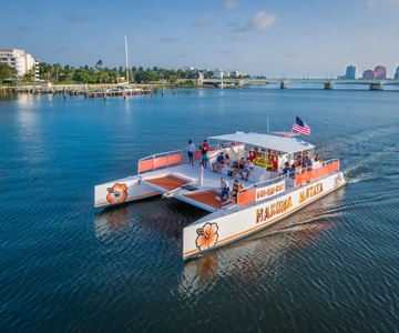 Palm Beach: Sightseeing Catamaran Cruise
