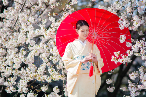 Tokio: wypożyczalnia kimon w Ogrodzie Narodowym Shinjuku GyoenNieformalne doświadczenie kimona z ubieraniem się w Shinjuku Gyoen