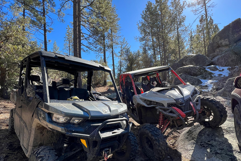 Ensenada: rental, atv, side by sides, dirt bikes and more.