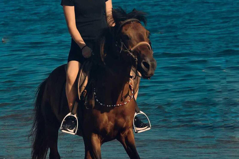 Manavgat/Side: Horse Riding on the Beach and in the Forest