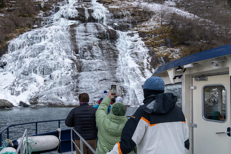 From Ålesund: Winter Fjord Cruise to Geirangerfjord