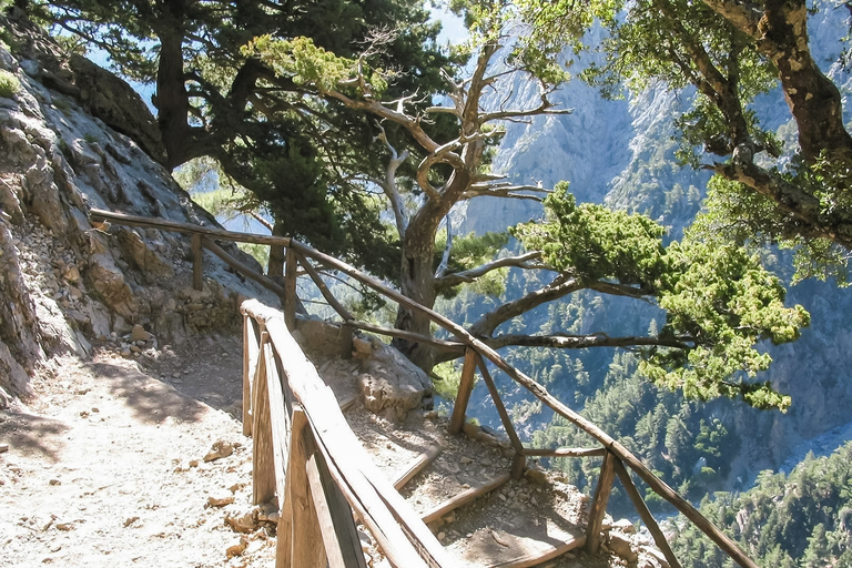 De Chania: Caminhada de 1 Dia à Garganta de SamariáDe Kalyves ou Almyrida