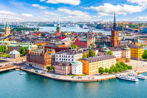 Wycieczka piesza Djurgården, Skansen i Muzeum Vasa w Sztokholmie2 godziny: Kungliga Djurgarden Tour