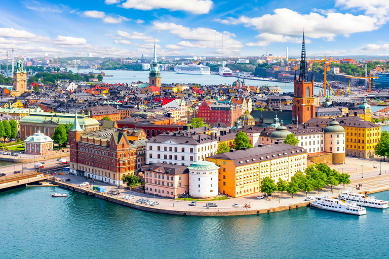 Wandeltour door Djurgården, Skansen en Vasa Museum Stockholm2 uur: Kungliga Djurgarden Tour