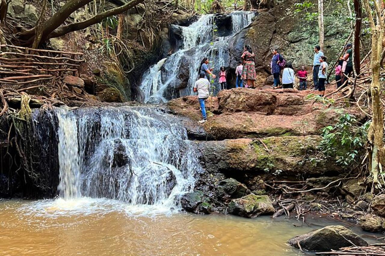 Nairobi: Karura Forest Storytelling & Mau Mau Heritage Walk