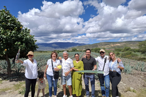 Oaxaca: Barrel-Bus Tour with Pulque, Agave & Mezcal Tastings