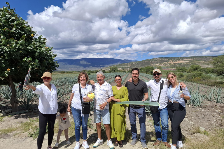 Oaxaca: Barrel-Bus Tour with Pulque, Agave & Mezcal Tastings