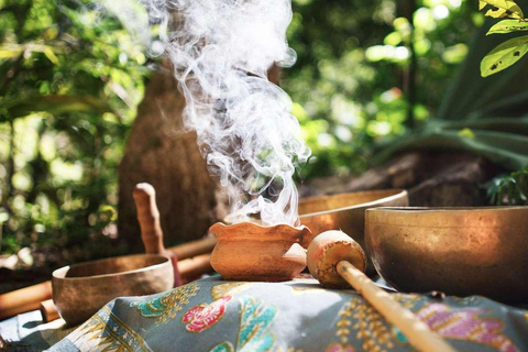 Ayahuasca Ceremony in Iquitos