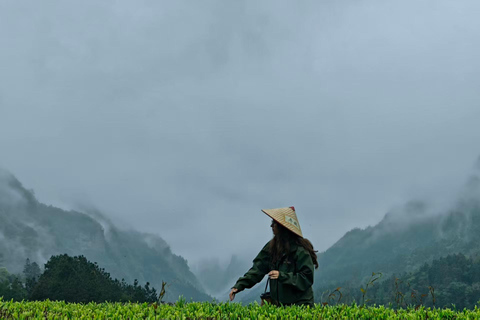 2-Day Zhangjiajie: Rice Terrace, Glass Bridge & Opt Tea Tour 2-Day Zhangjiajie Tour
