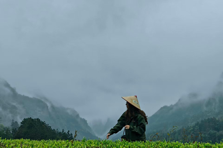 2-Day Zhangjiajie: Rice Terrace, Glass Bridge & Opt Tea Tour 2-Day Zhangjiajie Tour