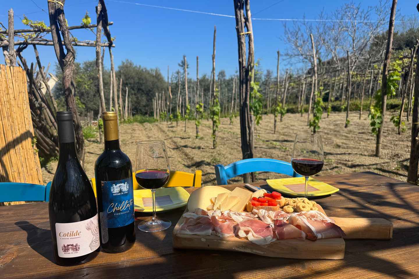 Gragnano, Napoli: esperienza in vigna, uliveto e degustazione