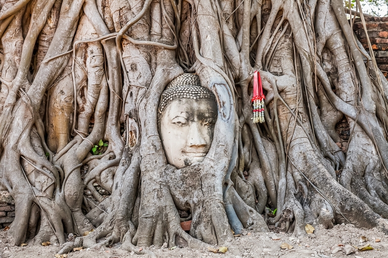 Vanuit Bangkok: kleine groepstour Ayutthaya-tempels + lunchTrefpunt in de stad