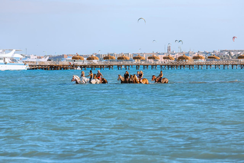 الغردقة: جولة ركوب الخيل في الصحراء والبحر مع خيار السباحةجولة لمدة ساعتين لركوب الخيل بدون السباح