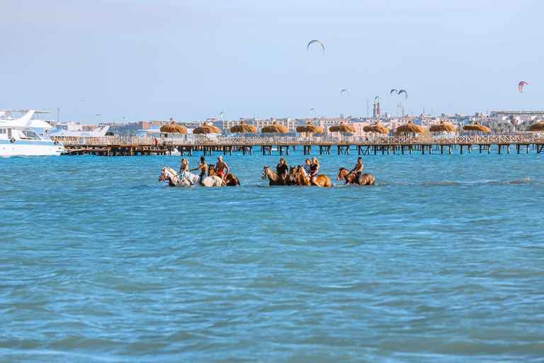 الغردقة: جولة ركوب الخيل في الصحراء والبحر مع خيار السباحةجولة لمدة ساعتين لركوب الخيل بدون السباح
